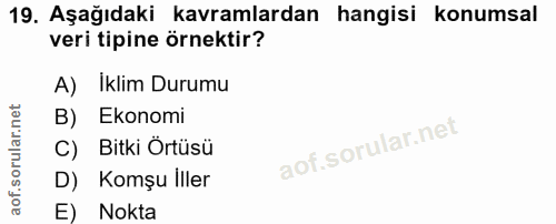 19. soru: Aşağıdaki kavramlardan hangisi konumsal veri tipine örnektir? A) İklim Durumu B) Ekonomi C) Bitki Örtüsü D) Komşu Ill…