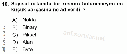 10. soru: Sayısal ortamda bir resmin bölünemeyen en küçük parçasına ne ad verilir? A) Nokta B) Binary Piksel D) Alan E) Byte