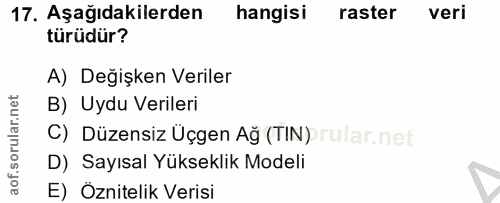17. soru: Aşağıdakilerden hangisi raster veri türüdür? A) Değişken Veriler B) Uydu Verileri C) Düzensiz Üçgen Ağ (TIN) rular.ne…