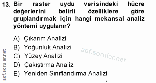 13. soru: Bir raster uydu verisindeki hücre değerlerini belirli özelliklere göre gruplandırmak için hangi mekansal analiz yönte…