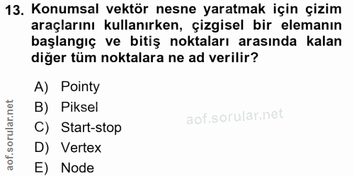 13. soru: Konumsal vektör nesne yaratmak için çizim araçlarını kullanırken, çizgisel bir elemanın başlangıç ve bitiş noktaları…