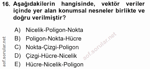 16. soru: Aşağıdakilerin hangisinde, vektör veriler içinde yer alan konumsal nesneler birlikte ve doğru verilmiştir? A) Nicelik…