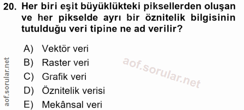 20. soru: Her biri eşit büyüklükteki piksellerden oluşan ve her pikselde ayrı bir öznitelik bilgisinin tutulduğu veri tipine ne…