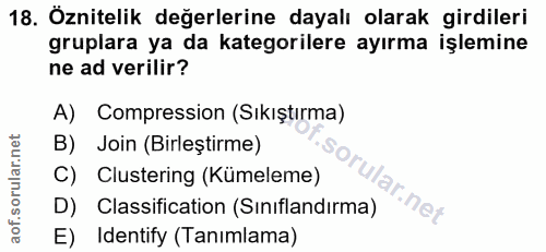 18. soru: Oznitelik değerlerine dayalı olarak girdileri gruplara ya da kategorilere ayırma işlemine ne ad verilir? A) Compressi…