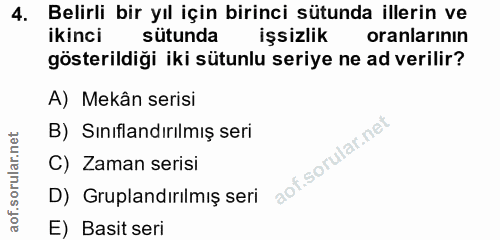 4. soru: Belirli bir yıl için birinci sütunda illerin ve ikinci sütunda işsizlik oranlarının gösterildiği iki sütunlu seriye n…