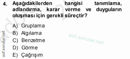 4. soru: Aşağıdakilerden hangisi tanımlama, adlandırma, karar verme ve duyguların oluşması için gerekli süreçtir? A) Gruplama…