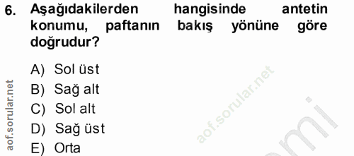 6. soru: Aşağıdakilerden hangisinde antetin konumu, pattanın bakış yönüne göre doğrudur? A) Sol üst B) Sağ alt C) Sol alt D) S…
