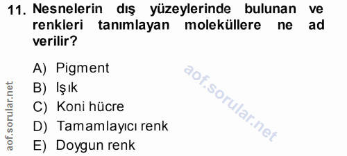 11. soru: Nesnelerin dış yüzeylerinde bulunan ve renkleri tanımlayan moleküllere ne ad verilir? A) Pigment B) Işık C) Koni hücr…