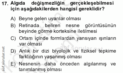 17. soru: Algıda değişmezliğin gerçekleşebilmesi için aşağıdakilerden hangisi gereklidir? A) Beyne gelen uyarılar olması B) Ret…