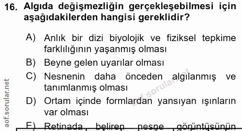 16. soru: Algıda değişmezliğin gerçekleşebilmesi için aşağıdakilerden hangisi gereklidir? A) Anlık bir dizi biyolojik ve fiziks…