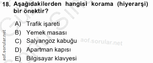 18. soru: Aşağıdakilerden hangisi korama (hiyerarşi) bir önektir? A) Trafik işareti B) Yemek masası C) Salyangoz kabuğu D) Apar…
