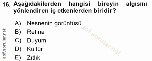 16. soru: Aşağıdakilerden hangisi bireyin algisinı yönlendiren iç etkenlerden biridir? A) Nesnenin görüntüsü B) Retina C) Duyum…
