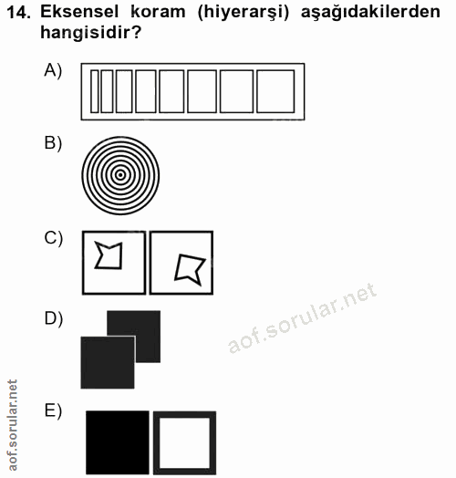 14. soru: Eksensel koram (hiyerarşi) aşağıdakilerden hangisidir? A) B) C) D) E)