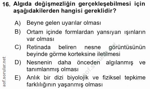 16. soru: Algıda değişmezliğin gerçekleşebilmesi için aşağıdakilerden hangisi gereklidir? A) Beyne gelen uyarılar olması B) Ort…