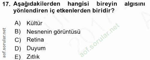 17. soru: Aşağıdakilerden hangisi bireyin algisını yönlendiren iç etkenlerden biridir? A) Kültür B) Nesnenin görüntüsü if.sorul…