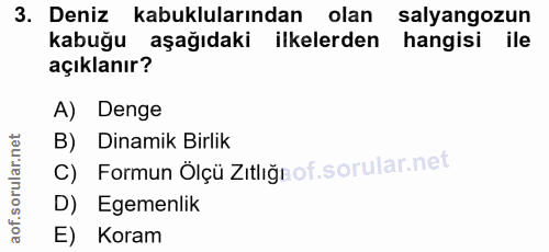 3. soru: Deniz kabuklularından olan salyangozun kabuğu aşağıdaki l ilkelerden hangisi ile açıklanır? A) Denge B) Dinamik Birli…