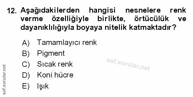 12. soru: Aşağıdakilerden hangisi nesnelere renk verme özelliğiyle birlikte, örtücülük ve ve dayanıklılığıyla boyaya nitelik ka…