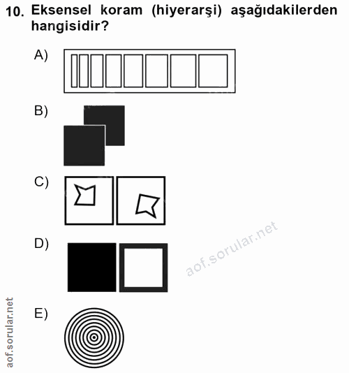 10. soru: Eksensel koram (hiyerarşi) aşağıdakilerden hangisidir? A) B) C) D) E)