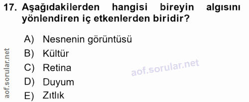 17. soru: Aşağıdakilerden hangisi bireyin algısını yönlendiren iç etkenlerden biridir? A) Nesnenin görüntüsü B) Kültür C) Retin…