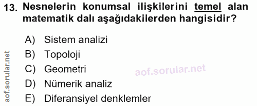 13. soru: Nesnelerin konumsal ilişkilerini temel alan matematik dalı aşağıdakilerden hangisidir? A) Sistem analizi B) Topoloji…