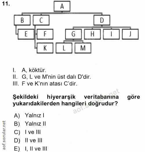11. soru: A D G H M 1. A, köktür. II. G, L ve M'nin üst dalı D'dir. IlI. F ve K'nın atası C'dir. Şekildeki hiyerarşik veritaban…
