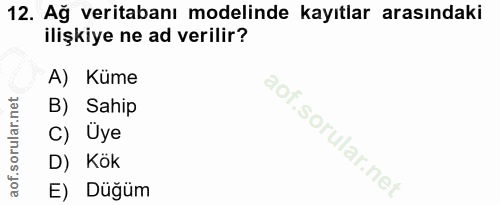 12. soru: Ağ veritabanı modelinde kayıtlar arasındaki ilişkiye ne ad verilir? A) Küme B) Sahip C) Uye D) Kök E) Düğüm