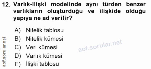 12. soru: Varlık-ilişki modelinde aynı türden benzer varlıkların oluşturduğu ve ilişkide olduğu yapıya ne ad verilir? A) Niteli…