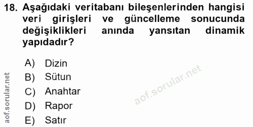 18. soru: Aşağıdaki veritabanı bileşenlerinden hangisi veri girişleri ve güncelleme sonucunda değişiklikleri anında yansıtan di…