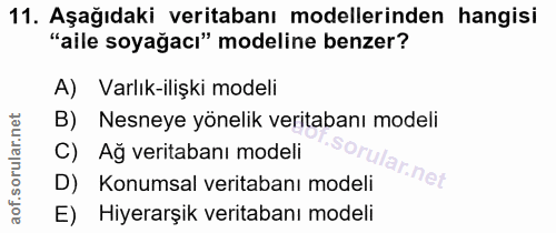 11. soru: Aşağıdaki veritabanı modellerinden hangisi "aile soyağacı" modeline benzer? A) Varlık-ilişki modeli B) Nesneye yöneli…