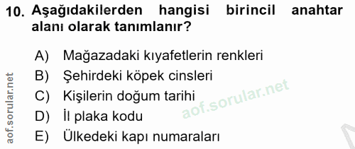 10. soru: Aşağıdakilerden hangisi birincil anahtar alanı olarak tanımlanır? A) Mağazadaki kıyafetlerin renkleri B) Şehirdeki kö…