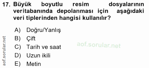 17. soru: Büyük boyutlu resim dosyalarının veritabanında depolanması için aşağıdaki veri tiplerinden hangisi kullanılır? A) Doğ…