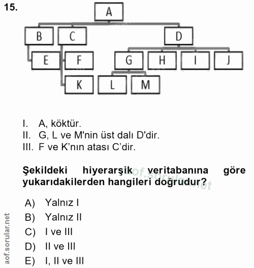 15. soru: A F G H M I. A, köktür. II. G, L ve M'nin üst dalı D'dir. III. F ve K'nın atası C'dir. Şekildeki hiyerarşikof veritab…