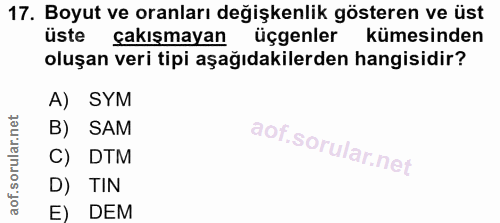 17. soru: Boyut ve oranları değişkenlik gösteren ve üst üste çakışmayan üçgenler kümesinden oluşan veri tipi aşağıdakilerden ha…