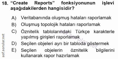 18. soru: "Create Reports" fonksiyonunun işlevi aşağıdakilerden hangisidir? A) Veritabanında oluşmuş hataları raporlamak B) Olu…