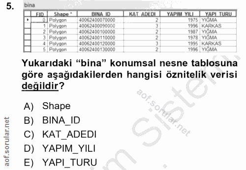 5. soru: bina FID Shape " BINA ID KAT ADEDI YAPIM YILL YAPI TURU 2 Polygon 40062400070000| 1975 YIGMA Polygon 40062400090000]…