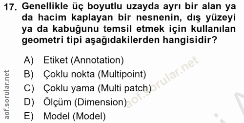 17. soru: Genellikle üç boyutlu uzayda ayrı bir alan ya da hacim kaplayan bir nesnenin, dış yüzeyi ya da kabuğunu temsil etmek…