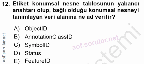 12. soru: Etiket konumsal nesne tablosunun yabancı anahtarı olup, bağlı olduğu konumsal nesneyi tanımlayan veri alanına ne ad v…