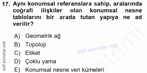 17. soru: Aynı konumsal referanslara sahip, aralarında coğrafi ilişkiler olan konumsal nesne tablolarını bir arada tutan yapıya…