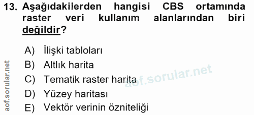 13. soru: Aşağıdakilerden hangisi CBS ortamında raster veri kullanım alanlarından biri değildir? A) İlişki tabloları B) Altlık…
