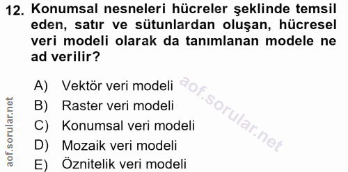 12. soru: Konumsal nesneleri hücreler şeklinde temsil eden, satır ve sütunlardan oluşan, hücresel veri modeli olarak da tanımla…