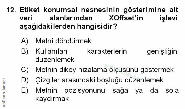 12. soru: Etiket konumsal nesnesinin gösterimine ait veri alanlarından XOffset'in işlevi aşağıdakilerden hangisidir? A) Metni d…