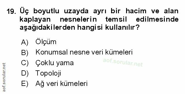 19. soru: Üç boyutlu uzayda ayrı bir hacim ve alan kaplayan nesnelerin temsil edilmesinde aşağıdakilerden hangisi kullanılır? A…