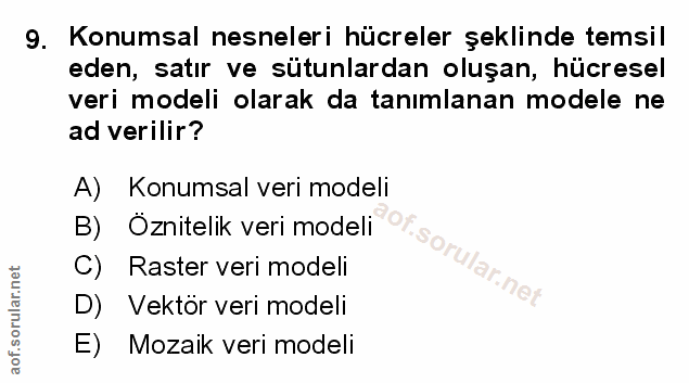 9. soru: Konumsal nesneleri hücreler şeklinde temsil eden, satır ve sütunlardan oluşan, hücresel veri modeli olarak da tanımla…