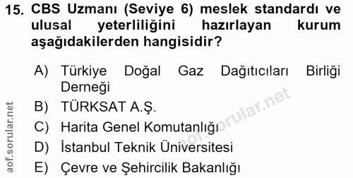 15. soru: CBS Uzmanı (Seviye 6) meslek standardı ve ulusal yeterliligini hazırlayan kurum aşağıdakilerden hangisidir? A) Türkiy…