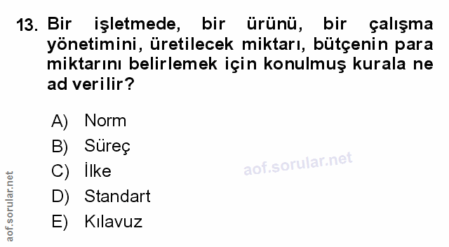 13. soru: Bir işletmede, bir ürünü, bir çalışma yönetimini, üretilecek miktarı, bütçenin para miktarını belirlemek için konulmu…