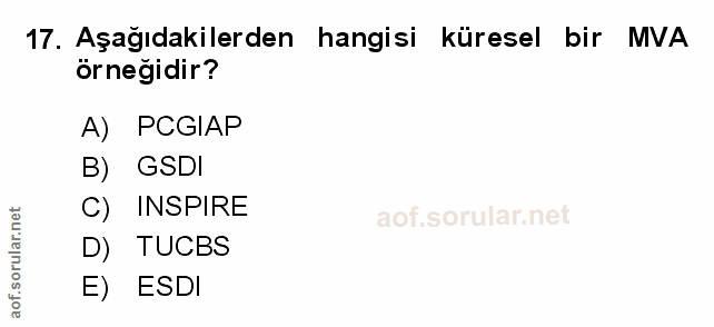 17. soru: Aşağıdakilerden hangisi küresel bir MVA örneğidir? A) PCGIAP B) GSDI C) INSPIRE D) TUCBS E) ESDI