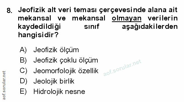 8. soru: Jeofizik alt veri teması çerçevesinde alana ait mekansal ve mekansal olmayan verilerin kaydedildiği sınıf aşağıdakile…