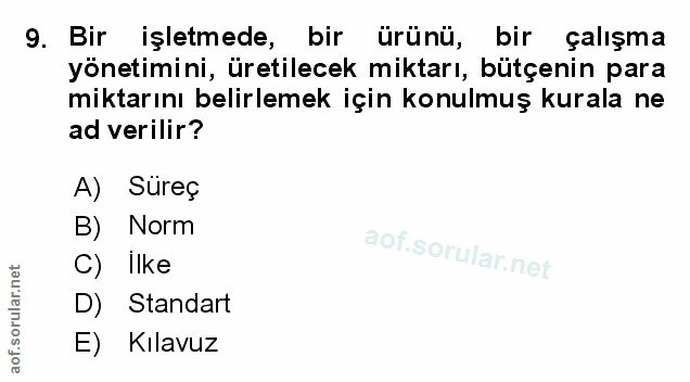 9. soru: Bir işletmede, bir ürünü, bir çalışma yönetimini, üretilecek miktarı, bütçenin para miktarını belirlemek için konulmu…