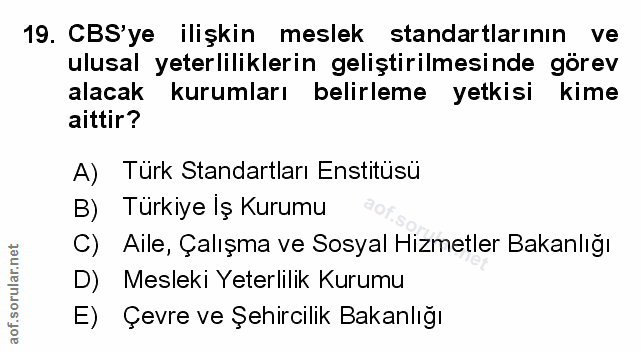 19. soru: CBS'ye ilişkin meslek standartlarının ve ulusal yeterliliklerin geliştirilmesinde görev alacak kurumları belirleme ye…