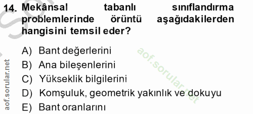 14. soru: Mekânsal tabanlı sınıflandırma problemlerinde örüntü aşağıdakilerden hangisini temsil eder? A) Bant değerlerini B) An…